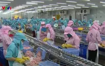 Việt Nam kiên quyết thực hiện khuyến nghị của EC để gỡ “thẻ vàng” thủy sản