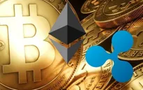 Hai tỷ phú Bitcoin nhận định tiền điện tử sẽ sớm phổ biến