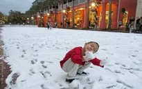 Lần đầu tiên trong 30 năm bang Folrida, Mỹ có tuyết rơi
