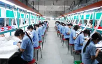 Xuất khẩu lao động xác lập kỷ lục mới