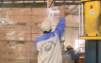 Những thách thức khi CPTPP chính thức có hiệu lực