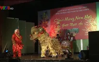 Hội người Việt tại Thụy Điển đón Tết cổ truyền