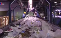 Thế giới tuyên chiến với rác thải nhựa