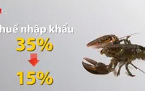 Người tiêu dùng hưởng lợi khi CPTPP có hiệu lực