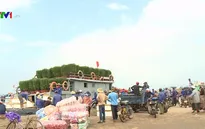 Rộn ràng đưa hàng Tết ra đảo Lý Sơn