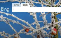 Công cụ tìm kiếm của Microsoft bất ngờ bị sập tại Trung Quốc