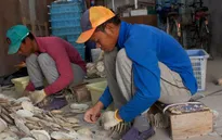 Kiểm tra kỹ năng lao động nước ngoài tới Nhật Bản