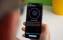 Google đã sẵn sàng chờ ngày ra mắt Android 10 Quiche