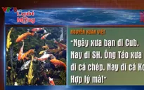 Nhiều người mạnh tay chi tiền triệu mua cá Koi cúng ông Công ông Táo