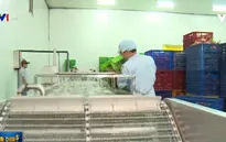 CPTPP có hiệu lực: Dòng vốn FDI vào nông nghiệp Việt có cơ hội khơi thông