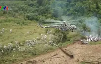 Peru phá hủy cơ sở sản xuất ma túy trong rừng Amazon