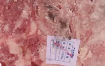 Cam go “cuộc chiến” ngăn chặn việc nhập lậu thực phẩm bẩn cuối năm