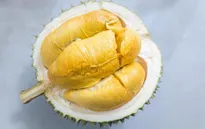 Choáng với sầu riêng “Nữ hoàng” có giá... 23 triệu đồng/quả