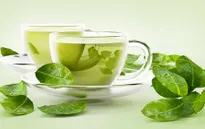 Uống trà xanh làm tăng nguy cơ mắc bệnh tiểu đường tuýp 2?