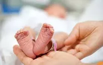 Nhiều rủi ro đối với sức khỏe bà mẹ và trẻ sơ sinh sinh ra trong đại dịch COVID-19