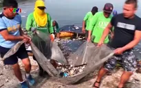 Cá chết hàng loạt tại khu du lịch sinh thái Philippines