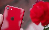 Chú ý: iPhone SE 2 có bản màu đỏ, giá thì siêu tốt!