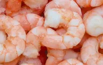 Mỹ giảm mạnh nhập khẩu tôm từ Trung Quốc