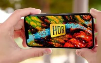 YouTube hỗ trợ chế độ HDR cho iPhone 11 Pro và 11 Pro Max