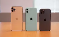 iPhone 11 chính hãng lên kệ tại Việt Nam từ ngày 1/11