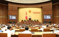 Cải cách bộ máy Chính phủ, chính quyền địa phương tinh gọn, hoạt động hiệu quả hơn