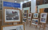 Khai mạc Triển lãm ảnh và phim phóng sự - tài liệu về ASEAN năm 2019