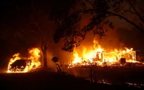 California khắc phục hậu quả thảm họa cháy rừng