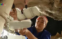 Nông hộ chuẩn bị để xuất khẩu sữa sang Trung Quốc