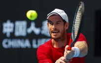 Andy Murray leo hơn 200 bậc trên bảng xếp hạng ATP