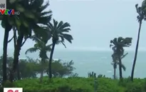 Bão Hagibis đe dọa đổ bộ châu Á