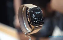Watch Series 5 chính hãng bán ra tại Việt Nam có giá từ 11,99 triệu đồng