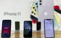 Hôm nay (1/11), iPhone 11 chính hãng lên kệ tại Việt Nam, giá từ 21,99 triệu đồng