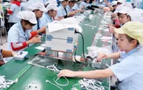 TP.HCM khảo sát tình hình lương, thưởng Tết Canh Tý 2020