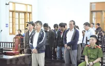 Tuyên án vụ sai phạm tại rừng phòng hộ Bắc Biển Hồ