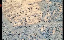 NASA tìm kiếm hóa thạch sự sống trên sao Hỏa