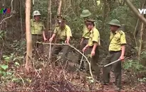 Hà Tĩnh khó kiểm soát tình trạng săn bắt động vật hoang dã