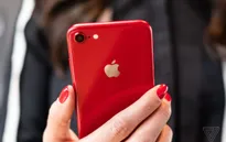 Chú ý: iPhone SE 2 ra mắt vào tháng 3/2020, giá chỉ hơn 9 triệu đồng!