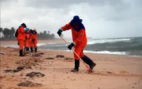 Phát hiện vết dầu loang tại các rạn san hô ở Brazil