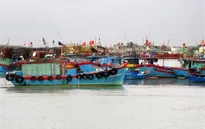 Khu vực Thanh Hóa - Bình Thuận chủ động ứng phó với áp thấp nhiệt đới