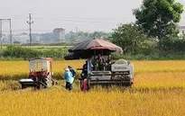 Phát triển hợp tác xã nông nghiệp ứng phó biến đổi khí hậu