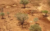 Kinh tế trang trại của Australia bị thiệt hại nặng do biến đổi khí hậu