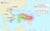 Các địa phương từ Quảng Ninh đến Cà Mau chủ động ứng phó với bão Kammuri