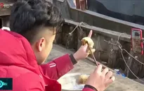 Thương mại điện tử cải thiện cuộc sống ngư dân Trung Quốc