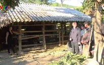Chủ động chống rét cho gia súc ở vùng cao