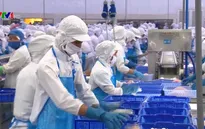 Ngành thủy sản với mục tiêu xuất khẩu năm 2019 đạt 10,5 tỷ USD