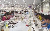 Doanh nghiệp ĐBSCL tận dụng cơ hội từ CPTPP