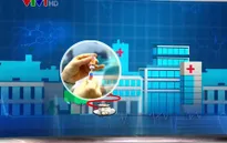 WHO kêu gọi tiêm vaccine sởi