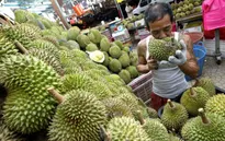 "Cơn sốt" sầu riêng đe dọa các cánh rừng nhiệt đới tại Malaysia