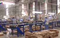 Ngành gỗ phấn đấu xuất khẩu 11 tỷ USD trong năm 2019