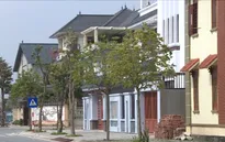 Xu hướng đầu tư bất động sản ngoại tỉnh